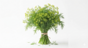 Dill- gr. Bund