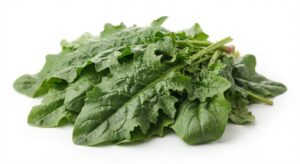 Spinat Ital - grob