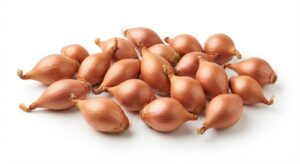 Schalotten 5 kg los