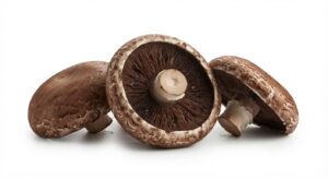 Pilz Riesen Champ. w.