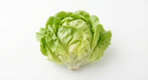 Kopfsalat Deutsch