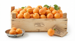 Aprikosen 1 kg Frank beste Sorte
