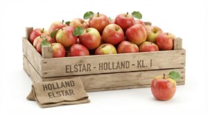 Aepf. Elstar Holland
