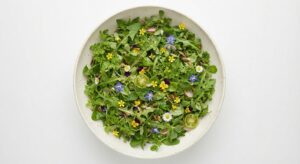 Salat Mix Wildkräuter 250g.