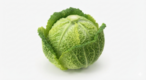 Kohl-Wirsing stk. Preis