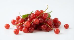 Johannisbeeren Rot 500g Schale