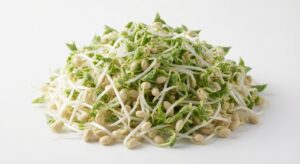 Keimling Sojasprosse-250g