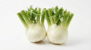 Fenchel Holland