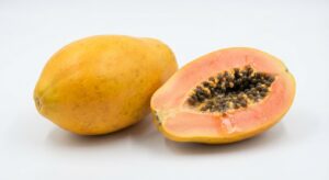 Papaya Ganz Dick Stck.