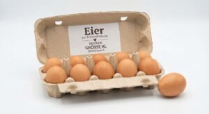 Eier Freiland 10 Stck., Gr. XL