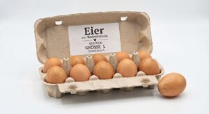 Eier Bodenhaltung 10 Stck., Gr. L